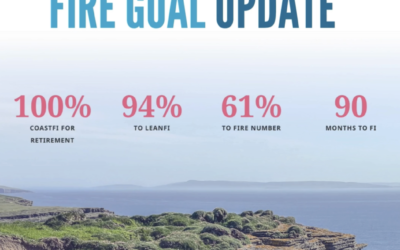 2024 Mid-year FIRE Goal Update