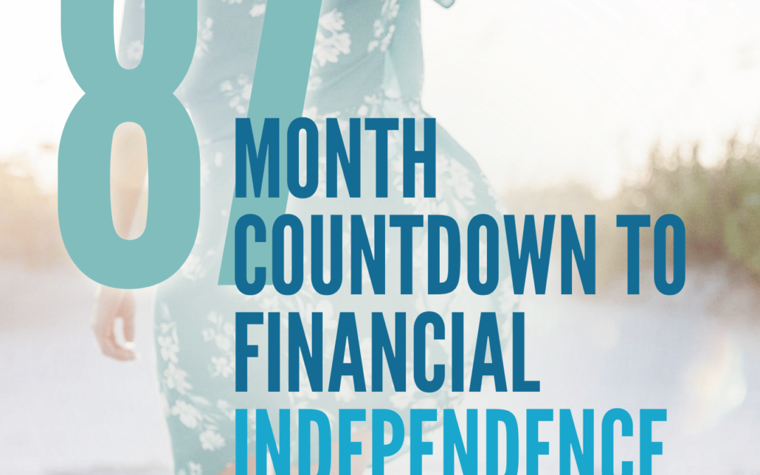 87 Months to FI – Why Every Step Toward FI Matters