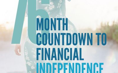 76 Months to FI – It’s Not About Convincing It’s About Finding Overlap.